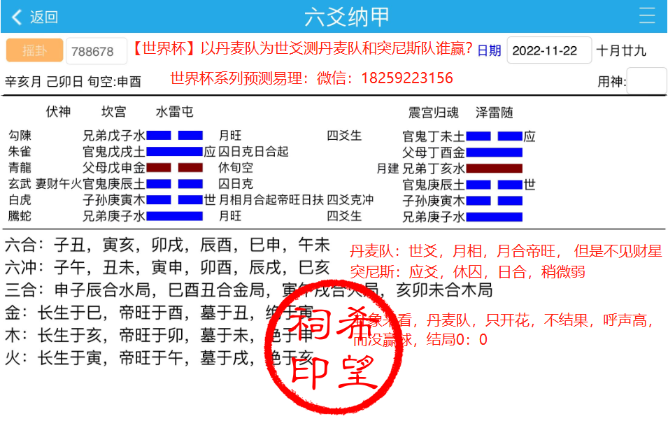 第六场：丹麦和突尼斯.png
