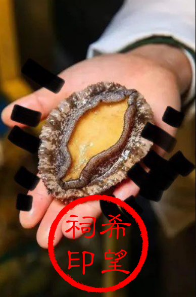 51.png