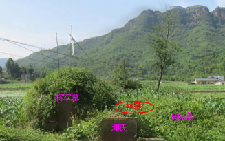 四川首富林墓2.png